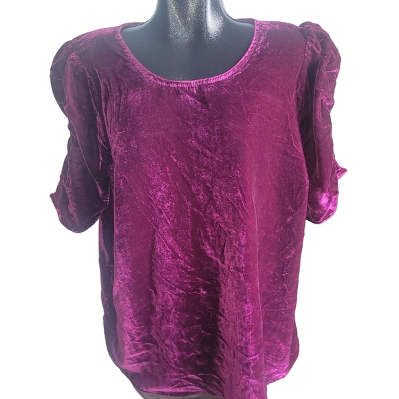 Torrid Plum Colored Velour Short Puff Sleeve Top 2 - Picture 1 of 7